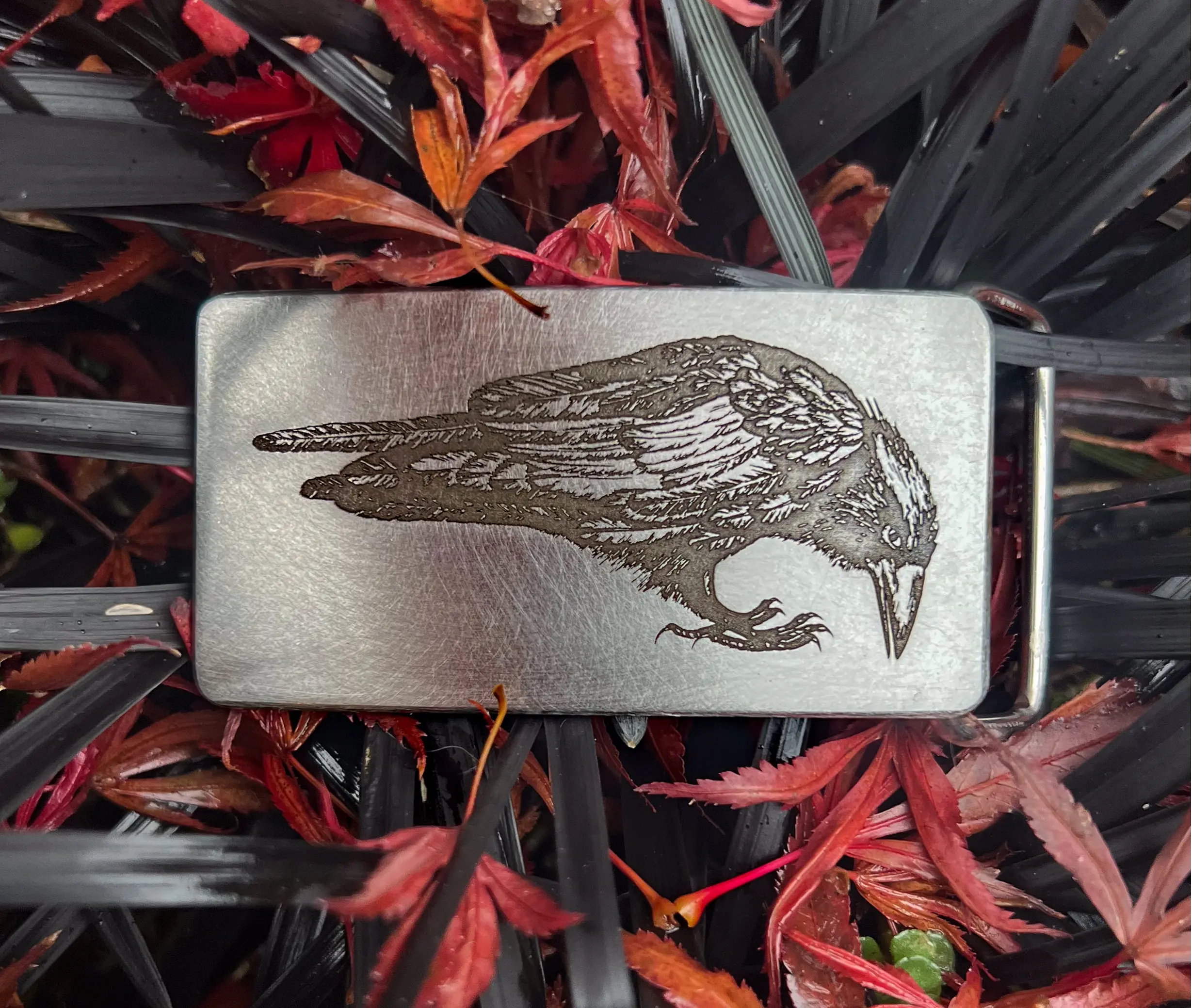 A rectangular brushed metal belt buckle featuring an engraved raven design, displayed on a bed of red autumn leaves and dark grass.