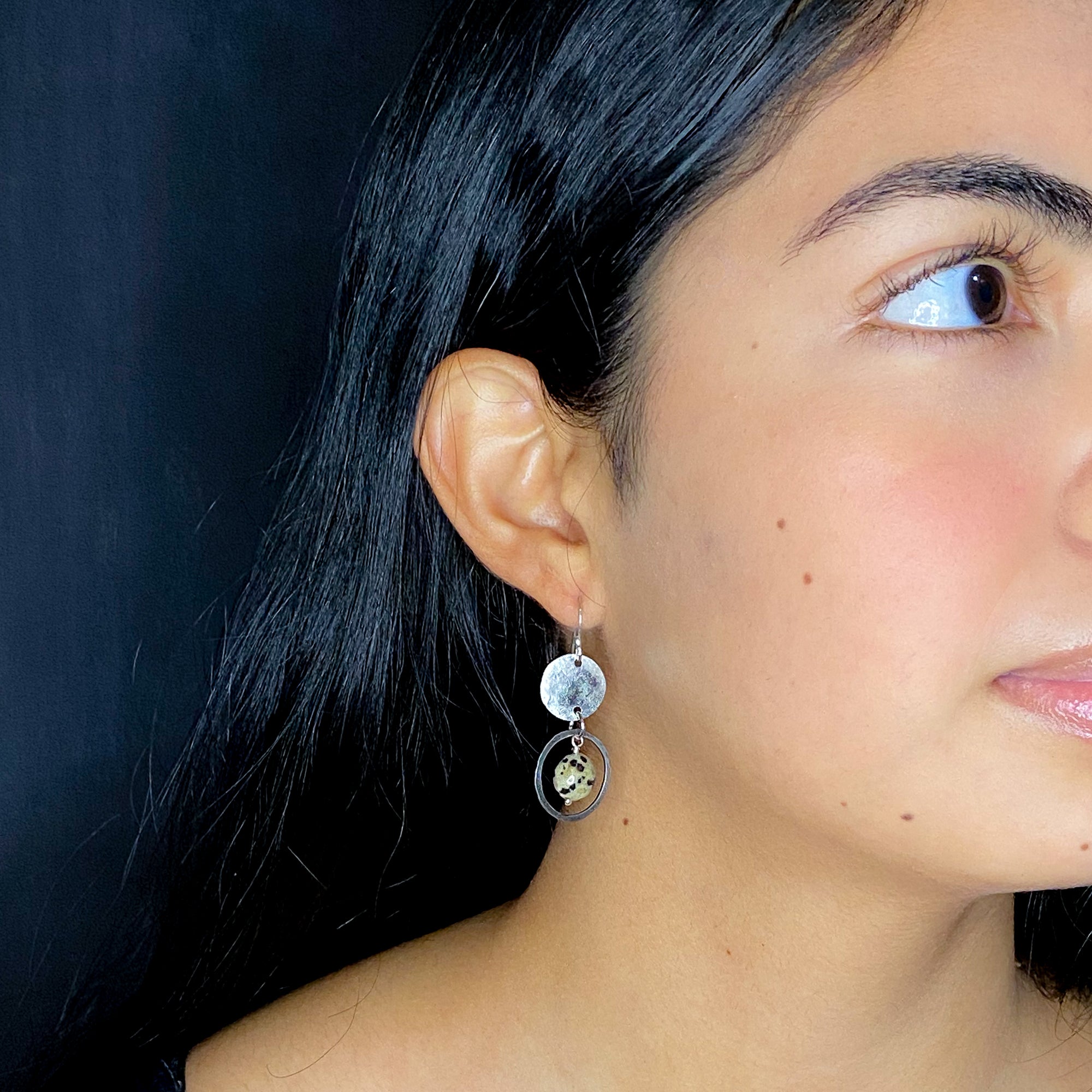 Stainless Dalmatian Jasper Disc Earrings