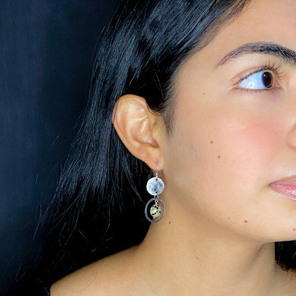 Stainless Dalmatian Jasper Disc Earrings